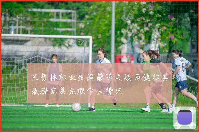 王哲林职业生涯巅峰之战马健称其表现完美无瑕令人赞叹